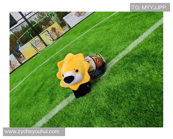 马兰闪耀绿茵场足球人生故事与荣耀征程全面解读